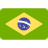 Brazilian Flag